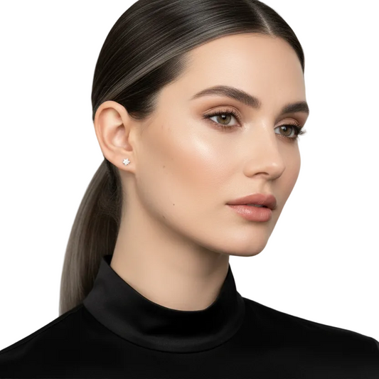 Orecchini Stella Luminosa in Acciaio con Zirconi