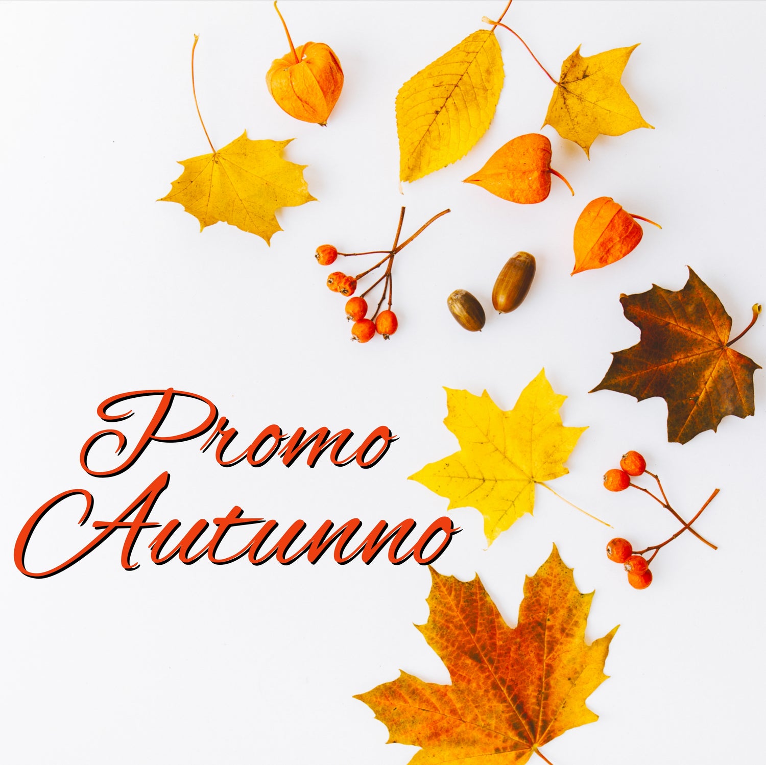 Promo d'Autunno
